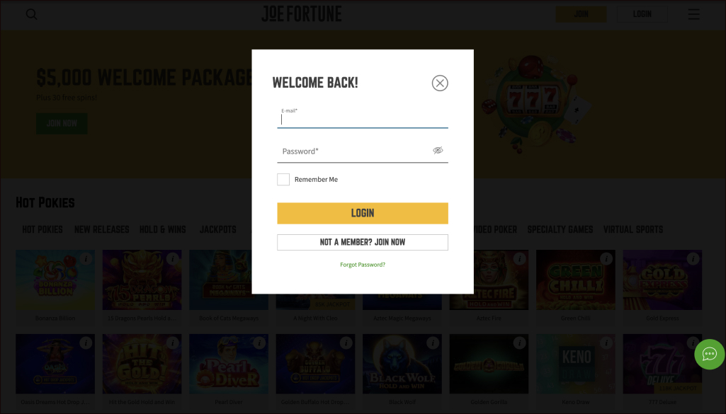 Joe Fortune Login Process