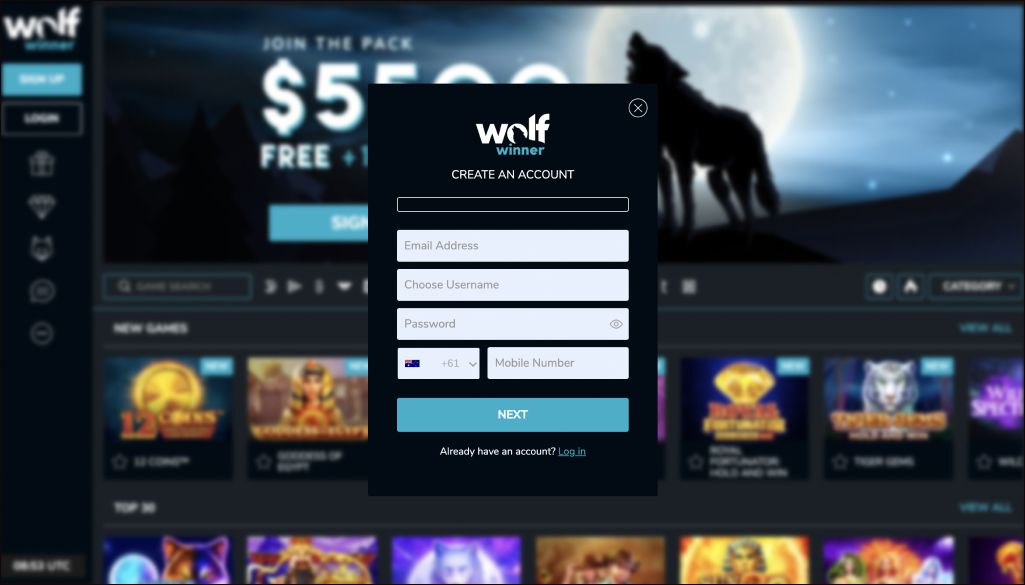 Wolf Winner Casino Login Process