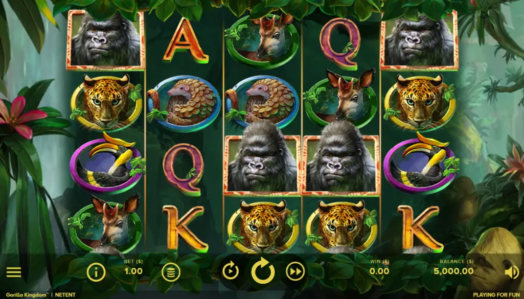 Gorilla Kingdom Pokie Bonus