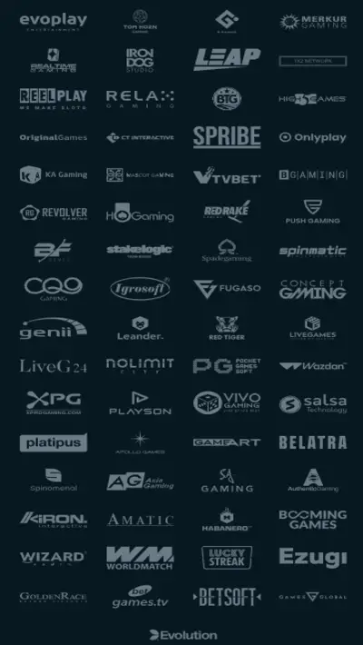 HoldnSpin Casino Software Mobile