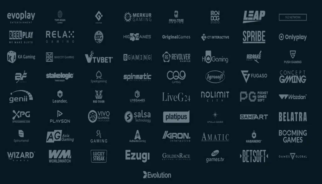 HoldnSpin Casino Software